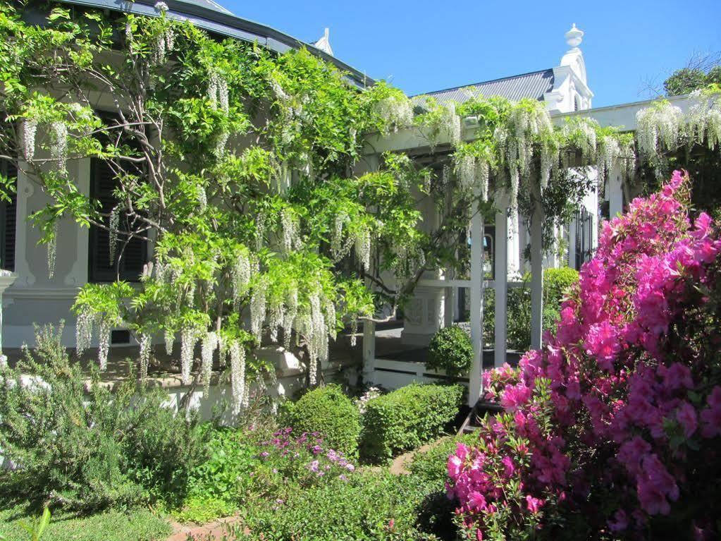 Caledon Villa Στέλενμπος Εξωτερικό φωτογραφία